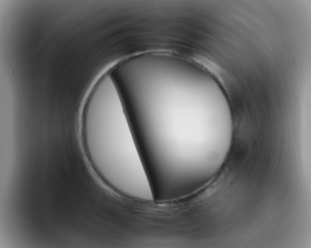 X0000092281135200709140918