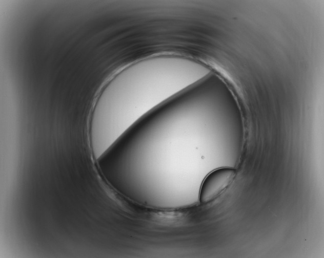 X0000092281137200709140918