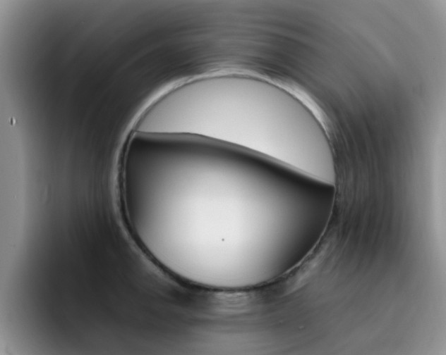 X0000092281142200709140918