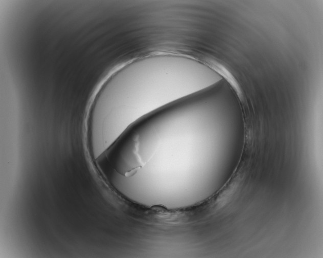 X0000092281146200709140918