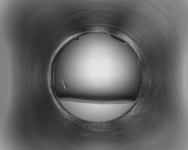 X0000092281147200709140918