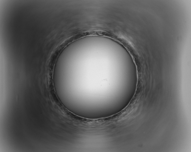 X0000092281159200709140917