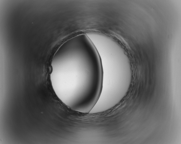 X0000092281160200709140917