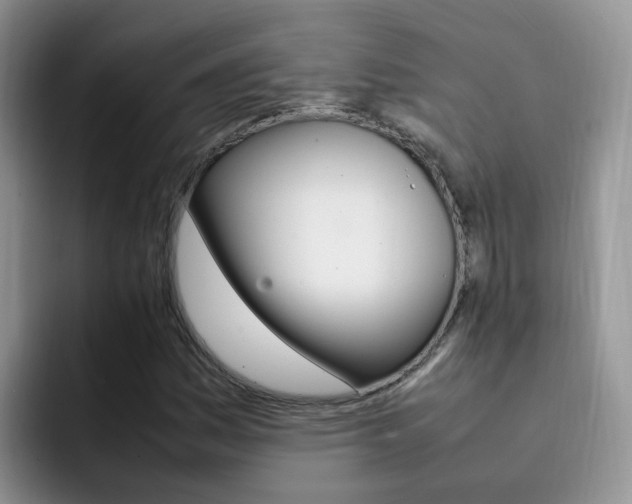 X0000092281161200709140917