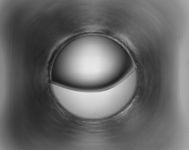 X0000092281164200709140917