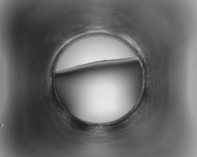 X0000092281167200709140917