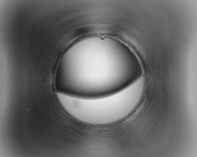 X0000092281169200709140917