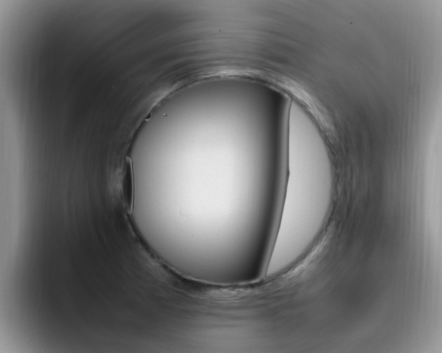 X0000092281185200709140917