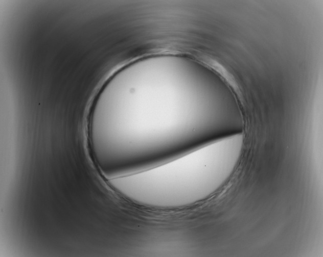 X0000092281187200709140917