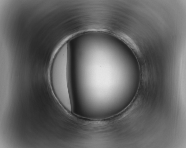 X0000092281188200709140917