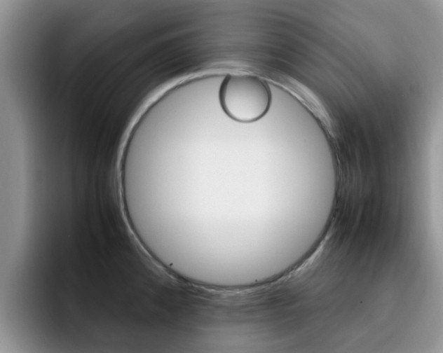X0000092281192200709140917