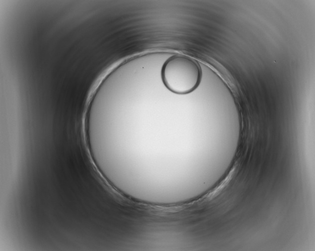 X0000092281196200709140917