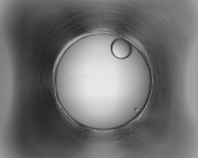 X0000092281200200709140917