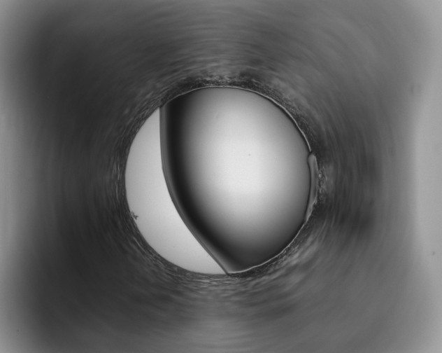X0000092281202200709140916