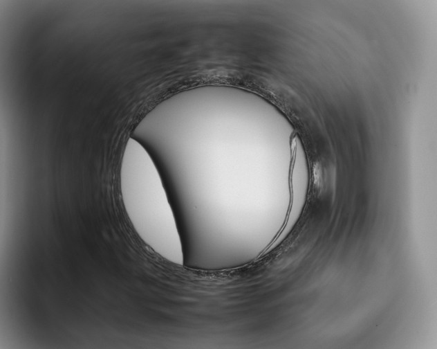 X0000092281203200709140916
