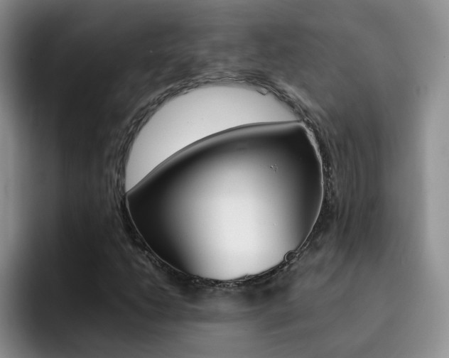 X0000092281206200709140916