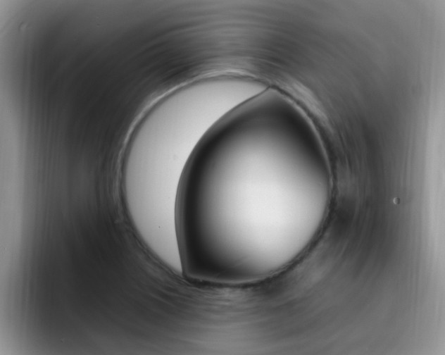 X0000092281226200709140916