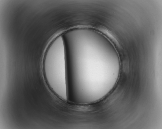 X0000092281229200709140916