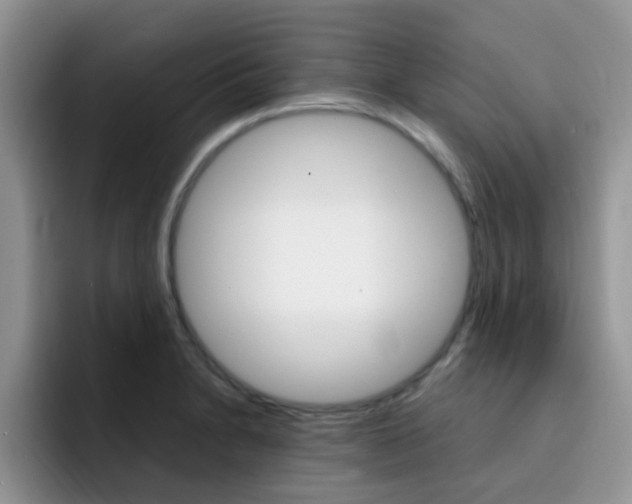 X0000092281230200709140916
