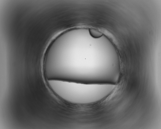 X0000092281231200709140916