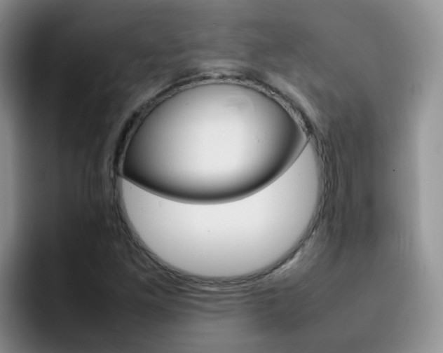 X0000092281261200709140916