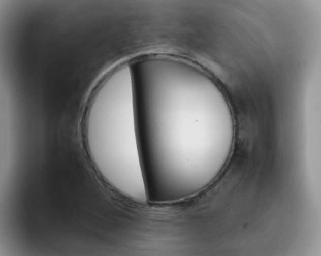 X0000092281264200709140916