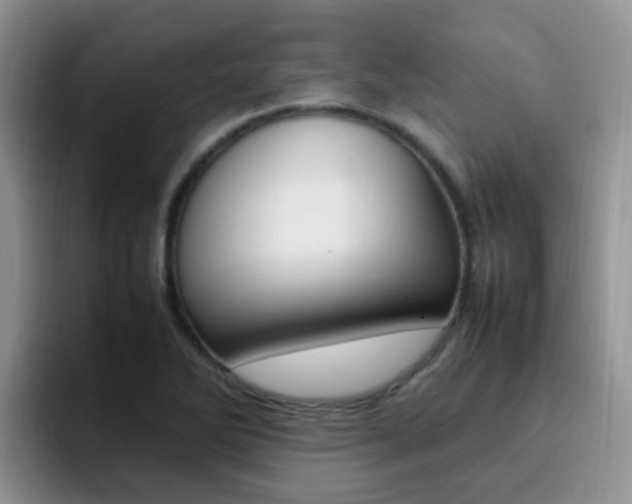X0000092281270200709140916