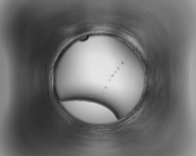 X0000092281275200709140916