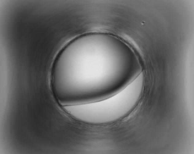X0000092281277200709140916