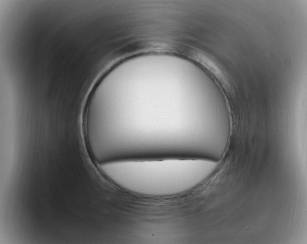 X0000092281283200709140916