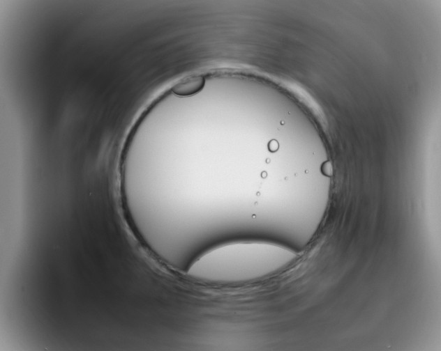 X0000092281287200709140916