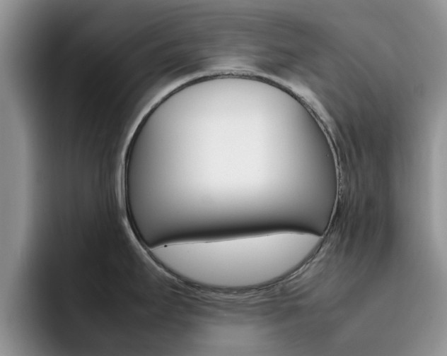 X0000092281295200709140916