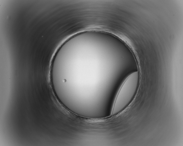 X0000092281296200709140916