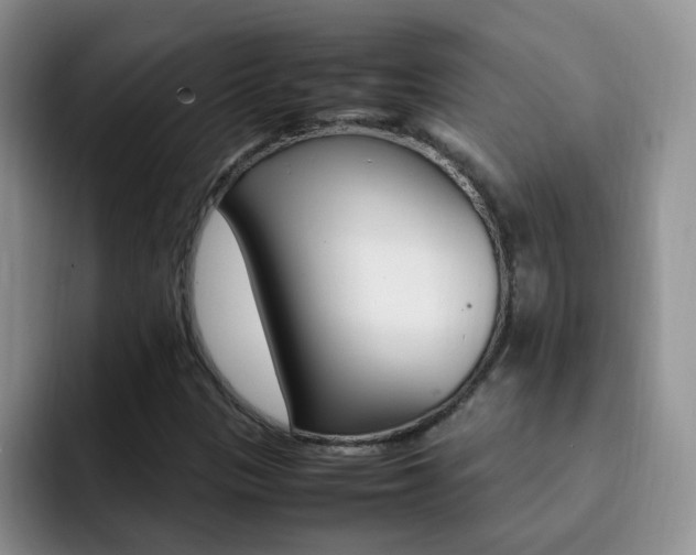 X0000092281305200709140915