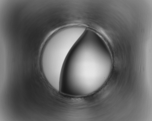 X0000092281320200709140915