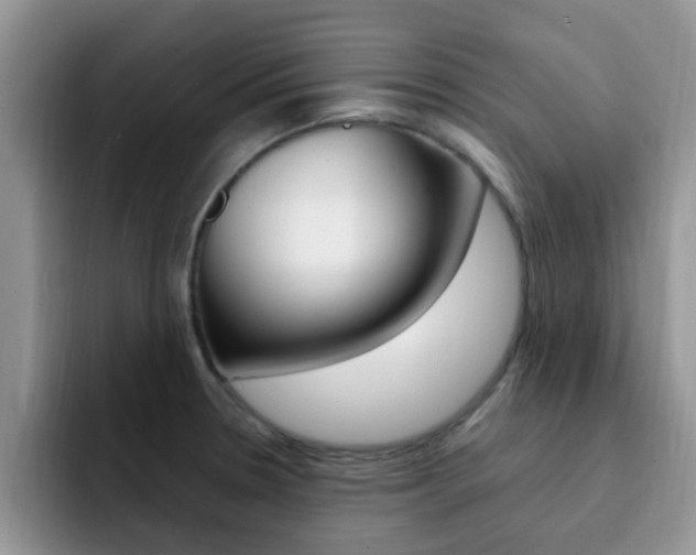 X0000092281330200709140915