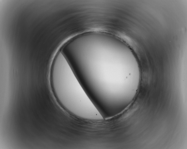 X0000092281331200709140915