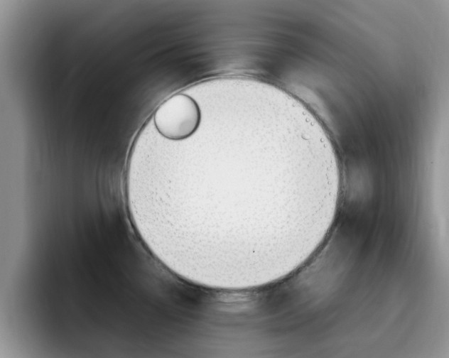 X0000092281338200709140915