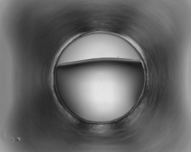 X0000092281341200709140915
