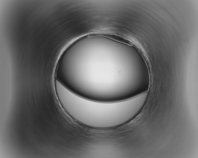 X0000092281344200709140916