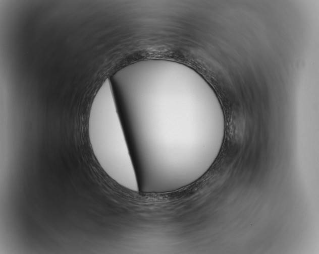 X0000092281346200709140915