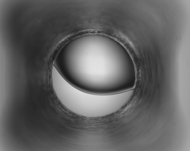 X0000092281352200709140915