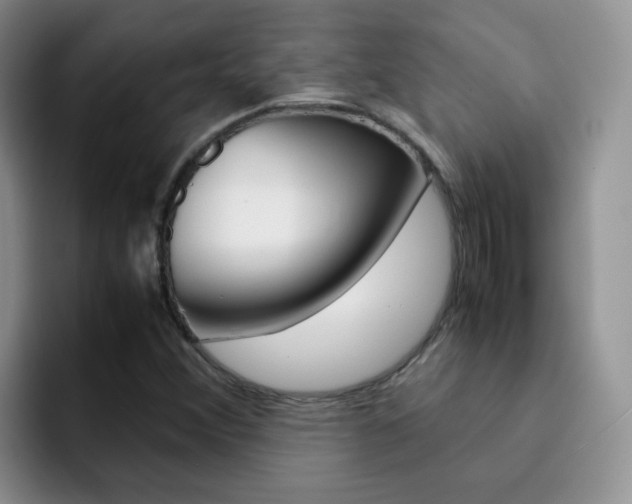 X0000092281356200709140915
