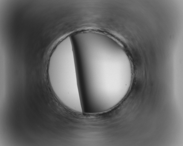 X0000092281359200709140915