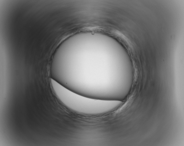 X0000092281361200709140915