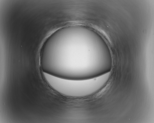 X0000092281365200709140915