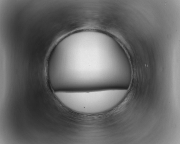 X0000092281366200709140915