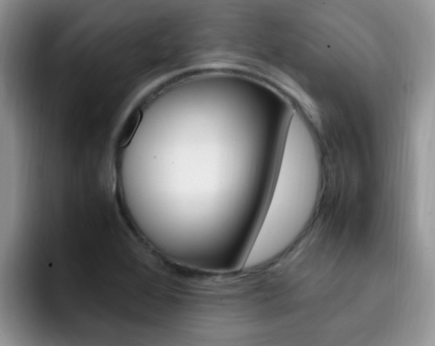 X0000092281368200709140915