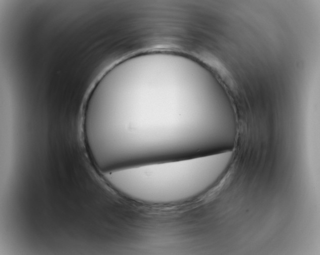 X0000092281374200709140915