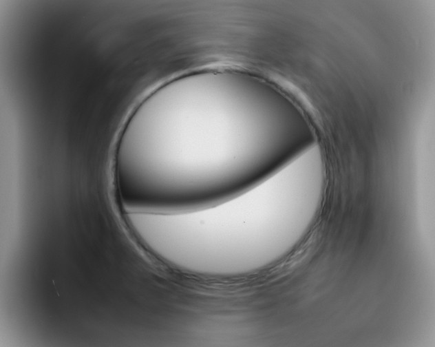X0000092281375200709140915